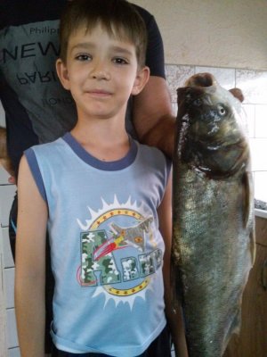 20160730_124435.jpg