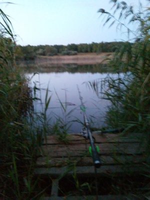 20160909_054644.jpg
