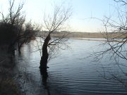 DSC01526.JPG