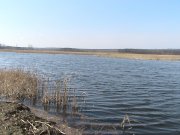 DSC01528.JPG