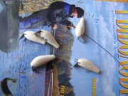 IMG_0192.JPG