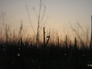 IMG_0712.JPG