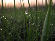 IMG_0714.jpg