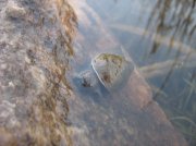IMG_0716.jpg