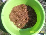 PIC_0159.JPG