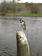IMG_0277.JPG