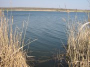 IMG_0778.jpg