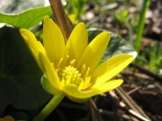 IMG_0783.JPG