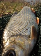 IMG_0819.jpg