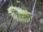 DSCN4596.JPG