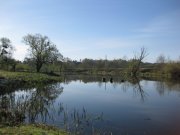 IMG_0688.jpg