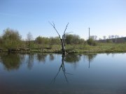 IMG_0691.jpg