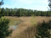 DSCN4751.JPG