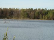 DSC03774.jpg