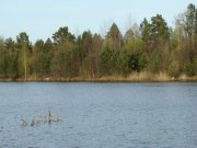 DSC03779.jpg