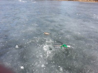 20170305_092615.jpg