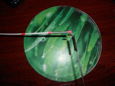 DSCN4811.JPG