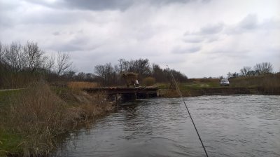 WP_20170326_12_39_09_Pro.jpg