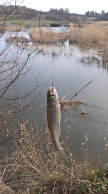 WP_20170326_08_56_48_Pro.jpg