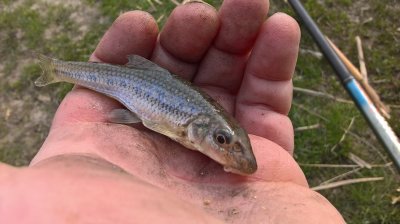 WP_20170326_10_16_00_Pro.jpg