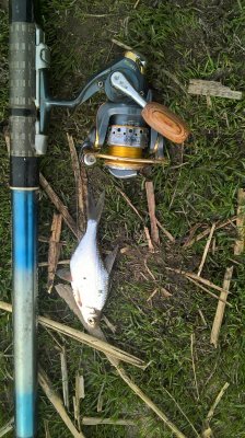 WP_20170326_10_05_29_Pro.jpg