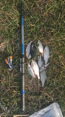 WP_20170326_15_52_57_Pro.jpg