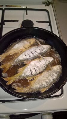 WP_20170326_18_15_08_Pro.jpg