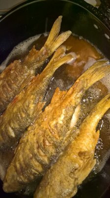 WP_20170326_18_20_15_Pro.jpg