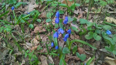 WP_20170326_08_40_44_Pro.jpg