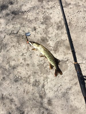 IMG_1412.JPG