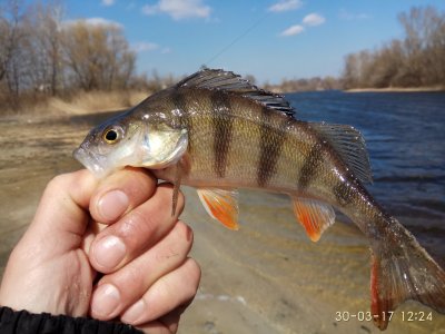 IMG_20170330_122406.jpg
