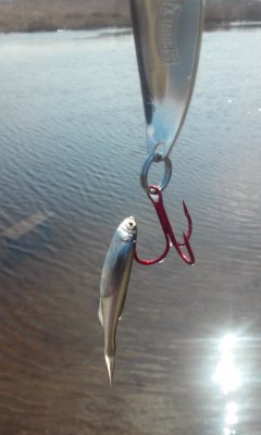20170402_131120.jpg