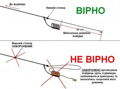 58e47c9359b38.jpg