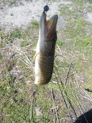 20170427_143116.jpg