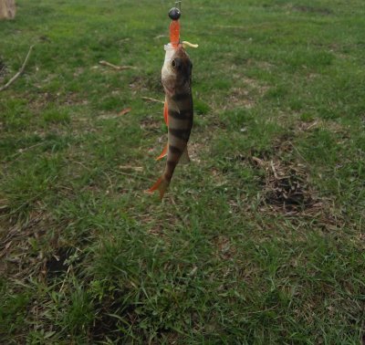 20170410_132203.jpg