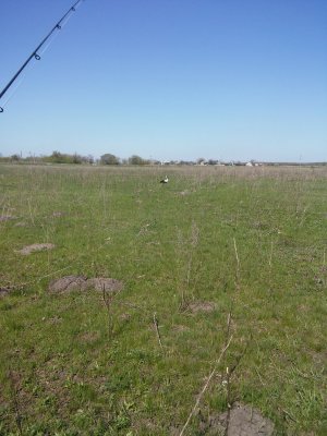 20170428_105001.jpg