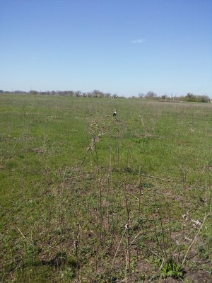 20170428_105017.jpg