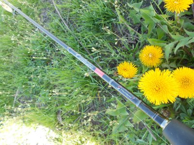 DSCN3461.JPG
