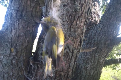 IMAG0776.jpg