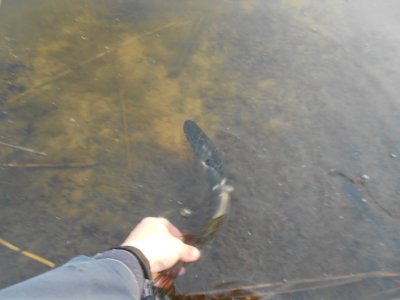 DSCN3497.JPG