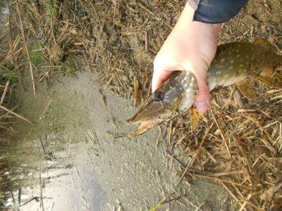 DSCN3498.JPG