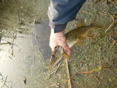 DSCN3499.JPG
