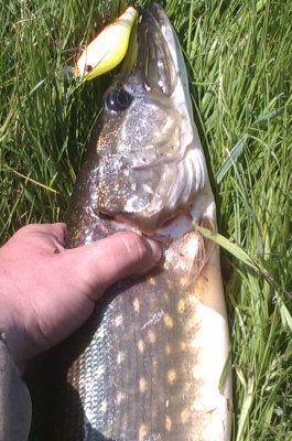 IMAG0779.jpg
