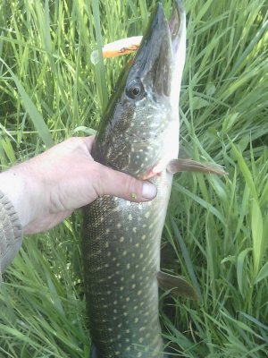 IMG_20170519_091425.jpg