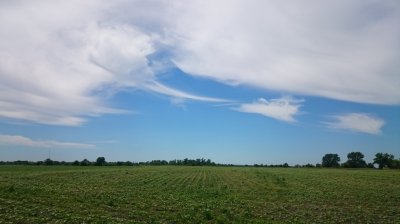 DSC_2327.JPG