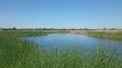 DSC_2342.JPG