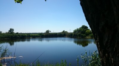 DSC_2379.JPG