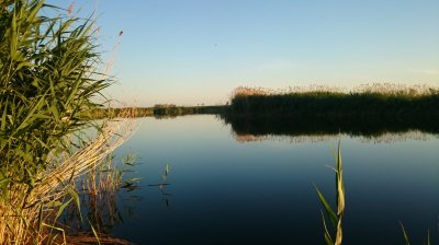 DSC_2411.JPG