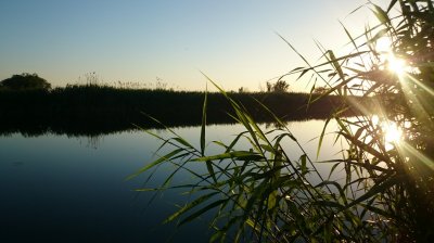 DSC_2414.JPG