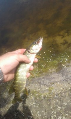 20170617_111615.jpg